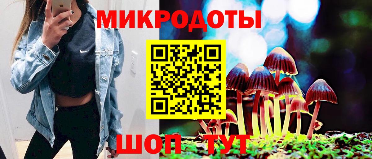 наркота  Псилоцибиновые грибы MAGIC MUSHROOMS  Вход с VPN  Псилоцибиновые грибы MAGIC MUSHROOMS  Новоалександровск 
